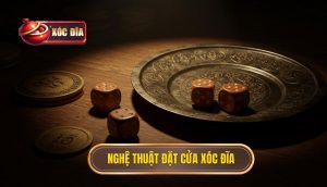 Nghệ thuật đặt cửa xóc đĩa
