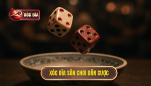 xóc đĩa sân chơi dân cược