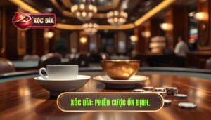 XÓC ĐĨA_ Phiên cược ổn định.