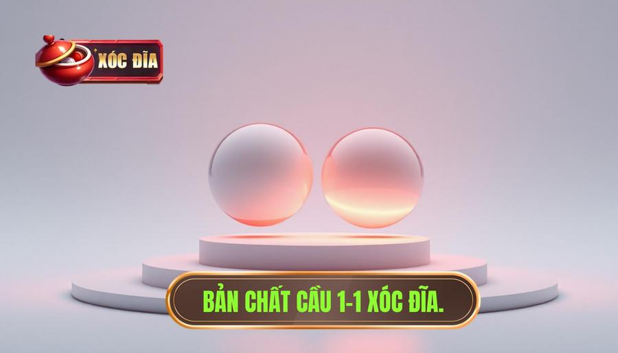 1. Bản chất cầu 1-1 xóc đĩa.