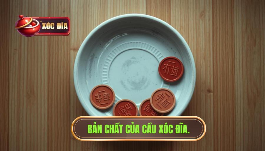 1. Bản chất của cầu xóc đĩa.
