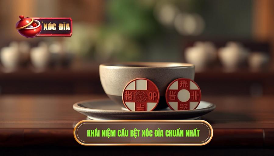 1. Khái niệm cầu bệt xóc đĩa chuẩn nhất