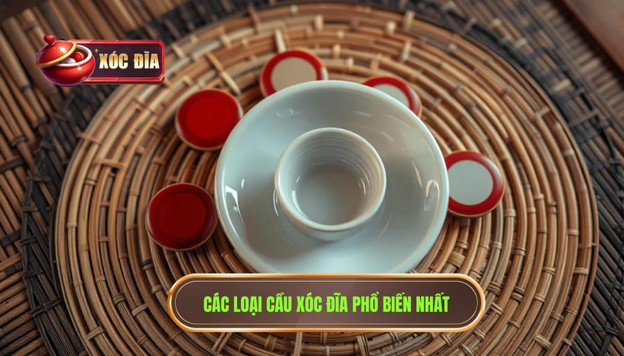 2. Các loại cầu xóc đĩa phổ biến nhất