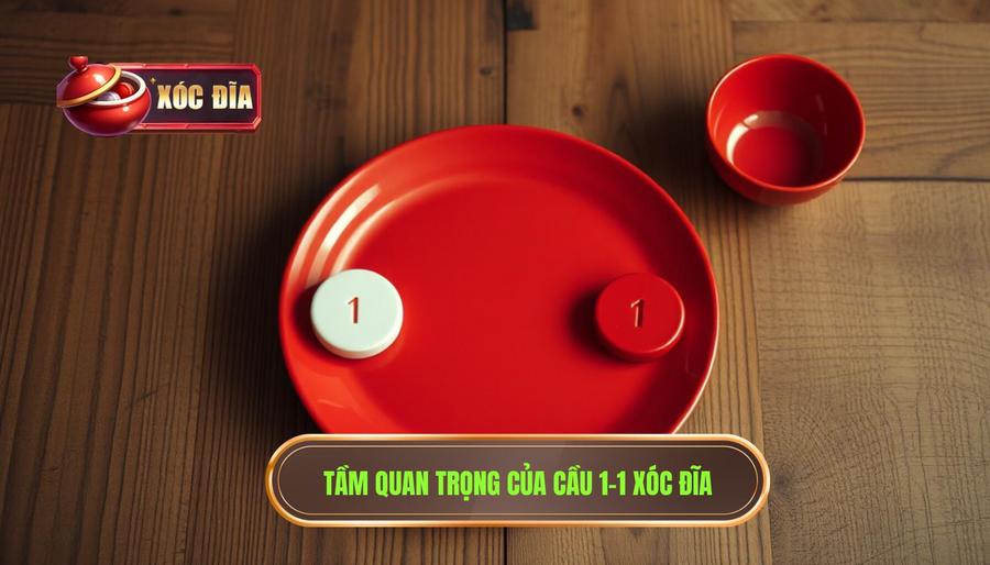 2. Tầm quan trọng của cầu 1-1 xóc đĩa
