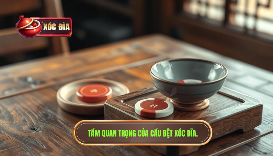 2. Tầm quan trọng của cầu bệt xóc đĩa.