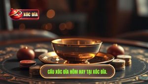 Cầu xóc đĩa hôm nay tại XÓC ĐĨA.