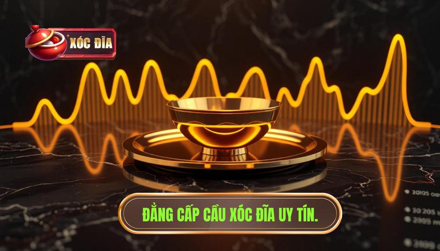 Đẳng cấp cầu xóc đĩa uy tín.